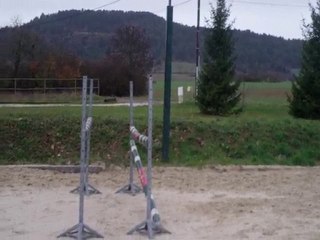 simbad des torfeux nov 2010 oxer