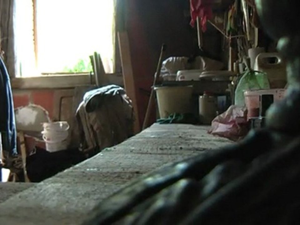 Emmnuel Lescuyer ~ peintre