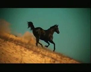 Adiyat Suresi 1...6 | TRT Kur'an-ı Kerim Filmleri