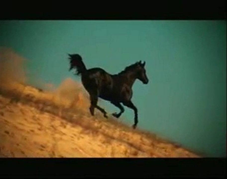 Adiyat Suresi 1...6 | TRT Kur'an-ı Kerim Filmleri