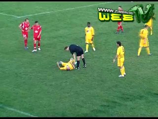 Milsami - Zimbru