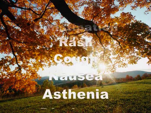 Business Opportunity Seeker