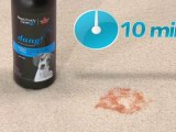 Pet Stain and Odor Remover Tips