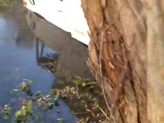 15 KASIM 2010 KISA GEZİMİZDEN OFF ROAD