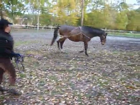 trot pessoa main droite