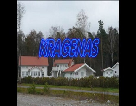 presentation projet suede 2011 groupe de Lambersart