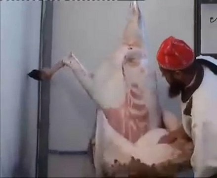 ‫كيفية ذبح الاضحية وأحكامها رائع جدا‬‎