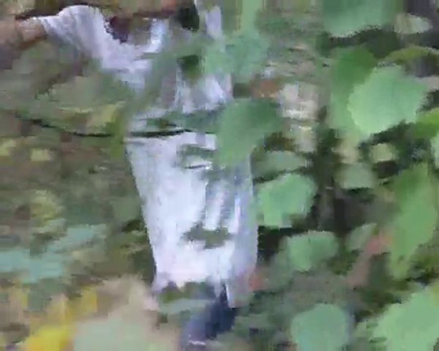 saubrigus production (bande annonce de PROPRIETEE PRIVEE)