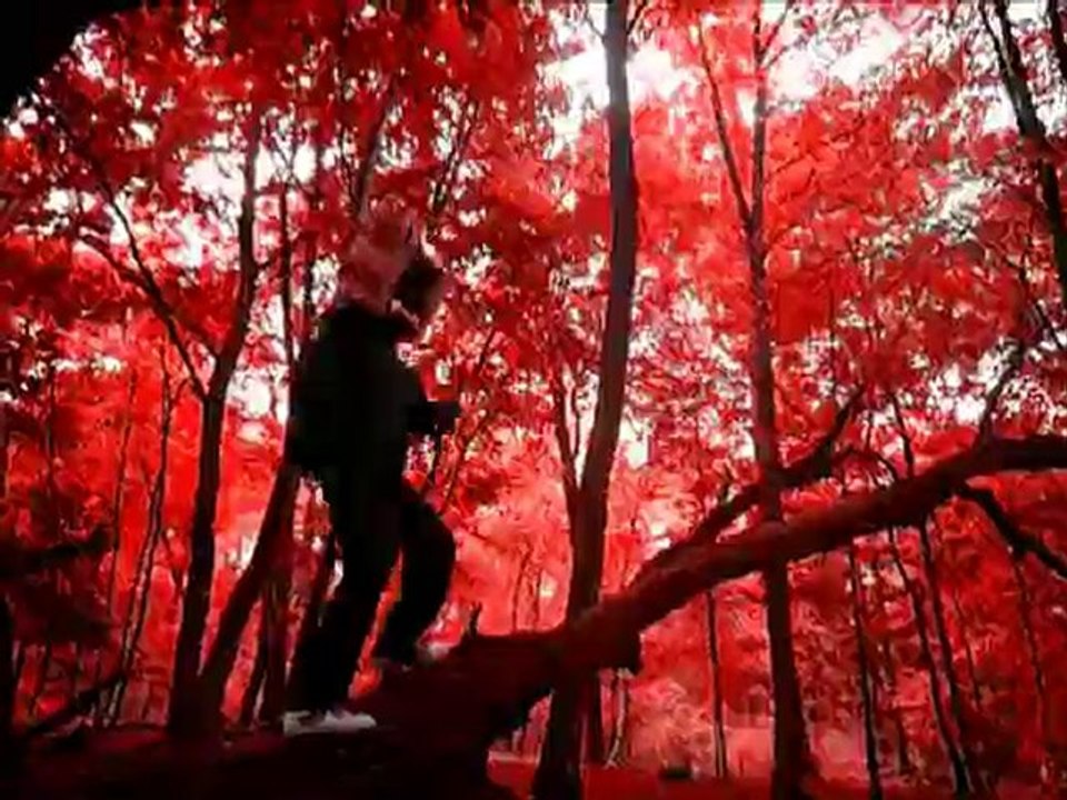 Gott gibt und Gott nimmt - den Faxemann