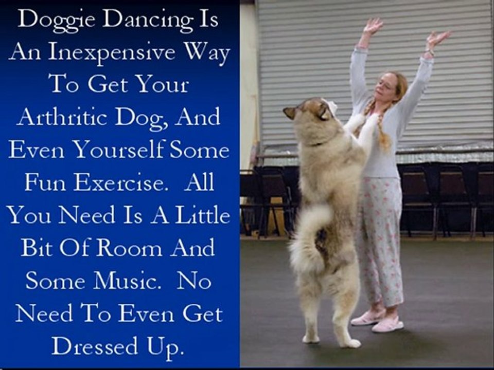 Dancing with dogs