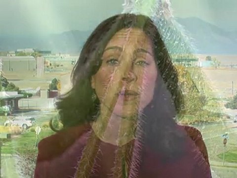 Find Out Where Silk Soybeans Come From