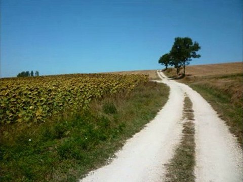 Beautés Saint Jacques Compostelle: Marsolan/Miramont-Sensacq