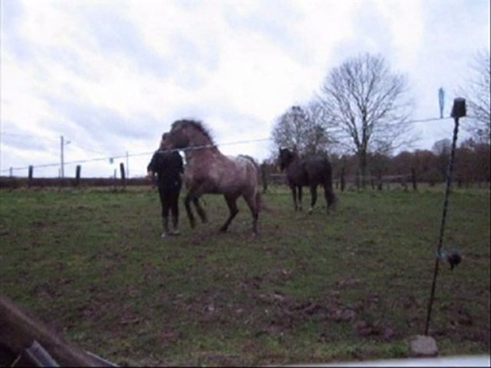 Les premiers 'cabrés' de Susu