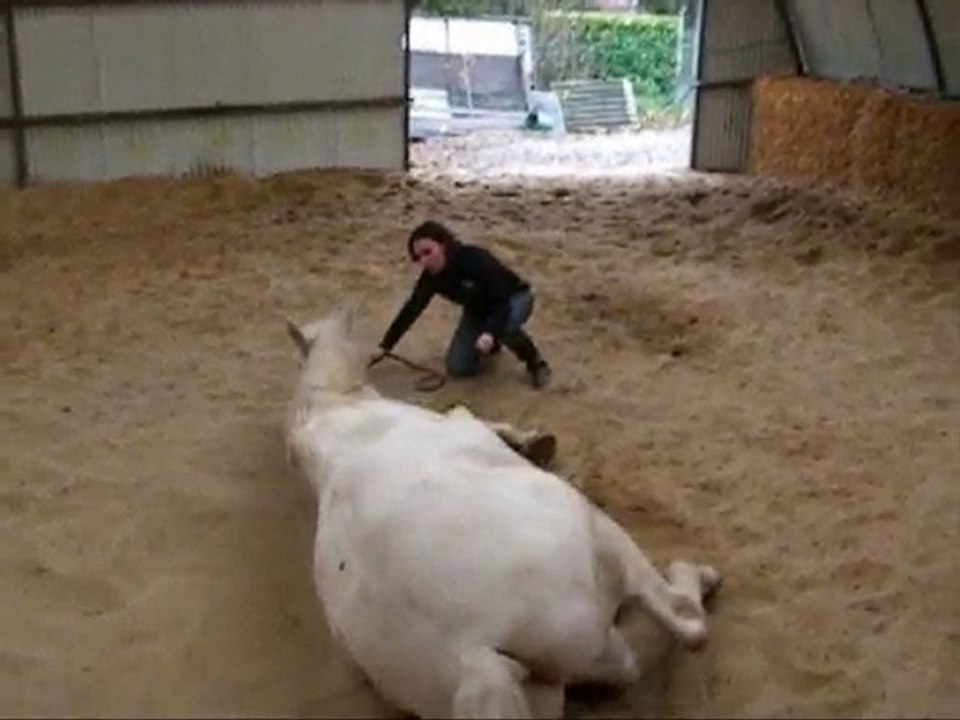 Jéricho 2