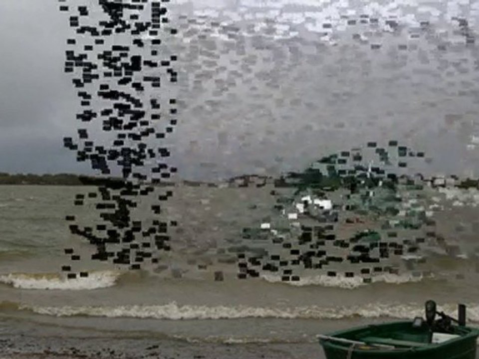 carpe mirroir