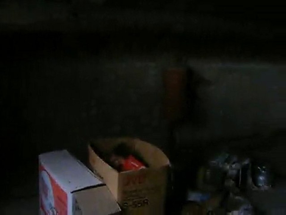 Friche Culmont juin2009