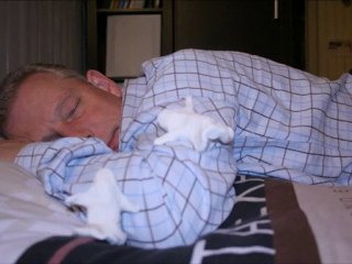 Les fantômes du musée