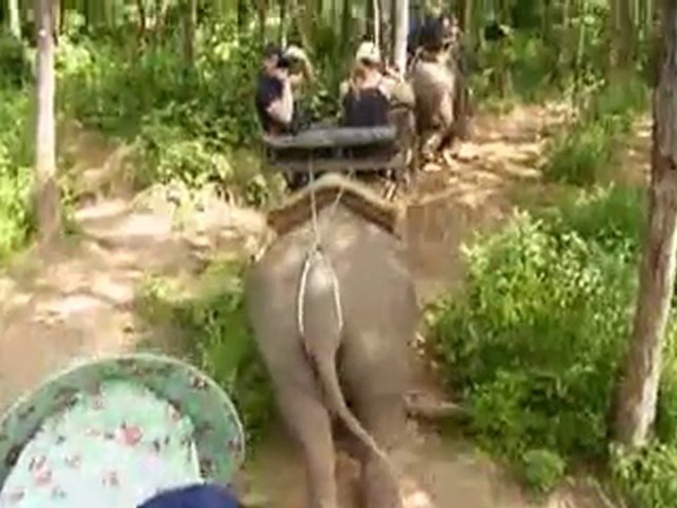 Trek à dos d'éléphant