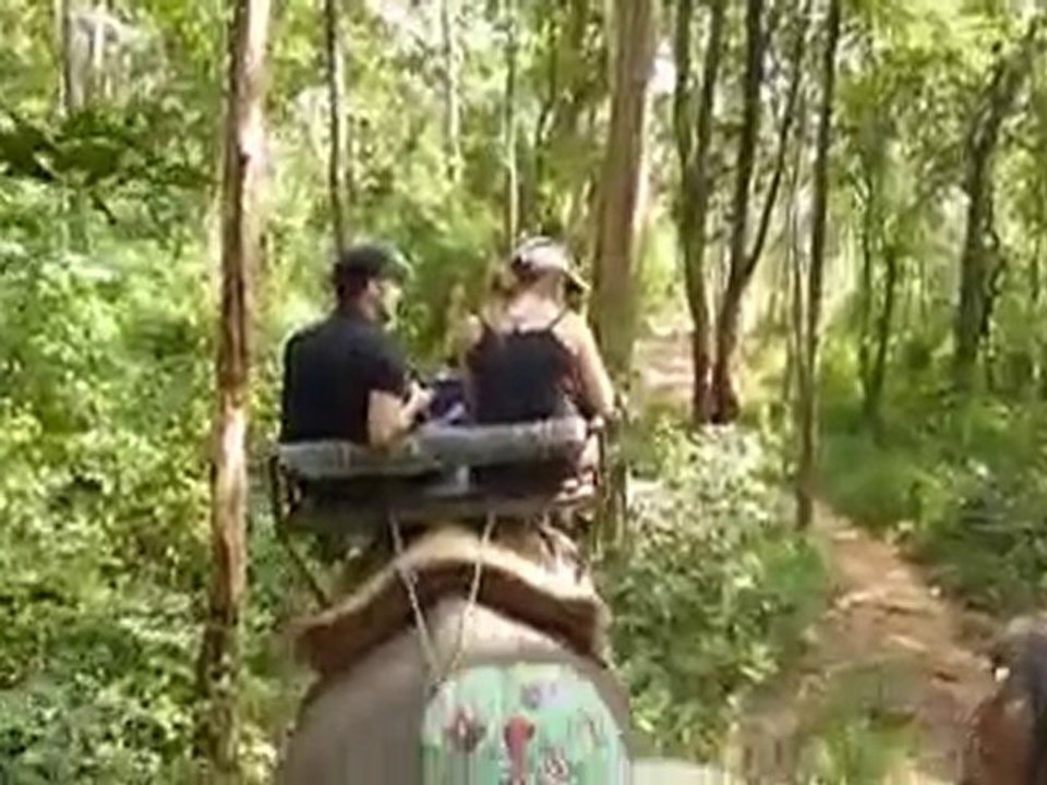 Pause caca  - trek éléphant