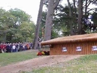 Temporis au Lion d'Angers 2010