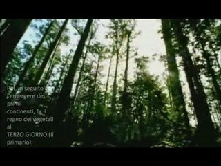 Il libro di vita dell’Agnello - La buona notizia