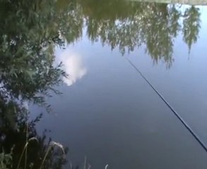 ROUVRE (3) video           30 juillet 2010.avi