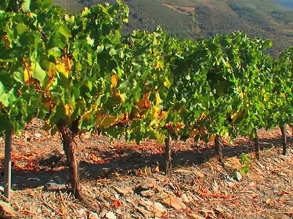 Consello Esp