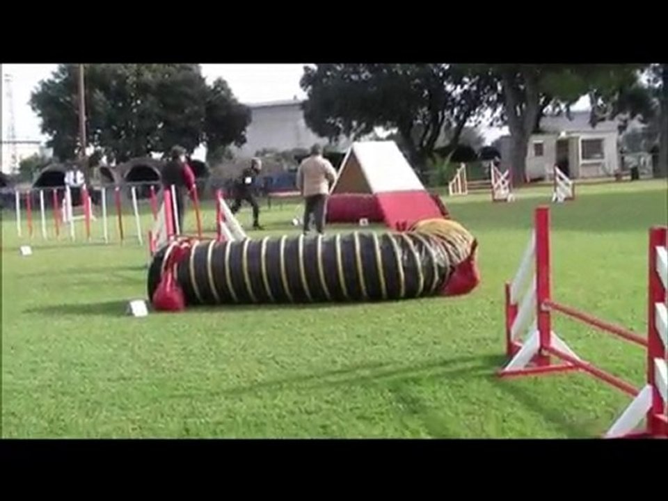 Buck Agility Fos Sur Mer 14/11/10