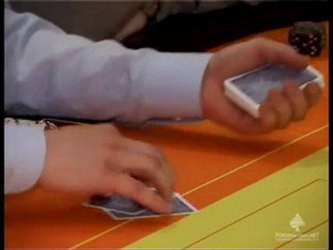 RPT Киев 2010. Техасский холдем NL. Видео обзор первого дня.