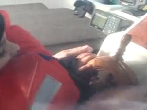 tom conduit le bateau