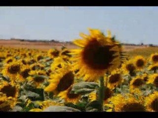 uludağ' ın öbür hikayesi