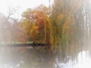 Sầu Viễn Xứ Nhạc:Lam Phương-Tiếngđàn:LamSơn 719-Tiếng hát:Hạ