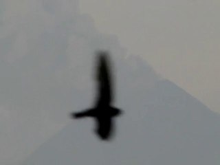 Eruption of Mount Merapi still