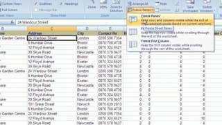Freeze Rows in Excel 2007