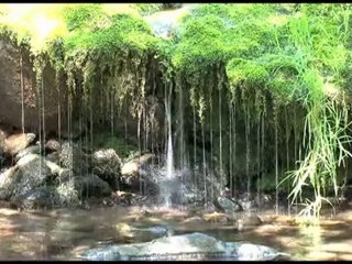 Pêche dans le Tarn entre Sidobre et Monts de Lacaune