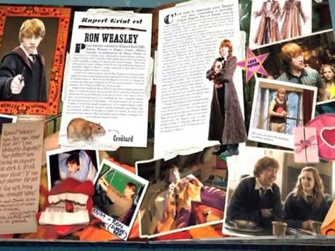 Harry Potter La magie des films