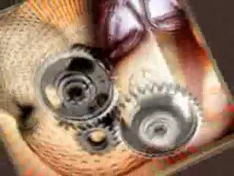 Formazione coaching PNL - programmazione neurolinguistica