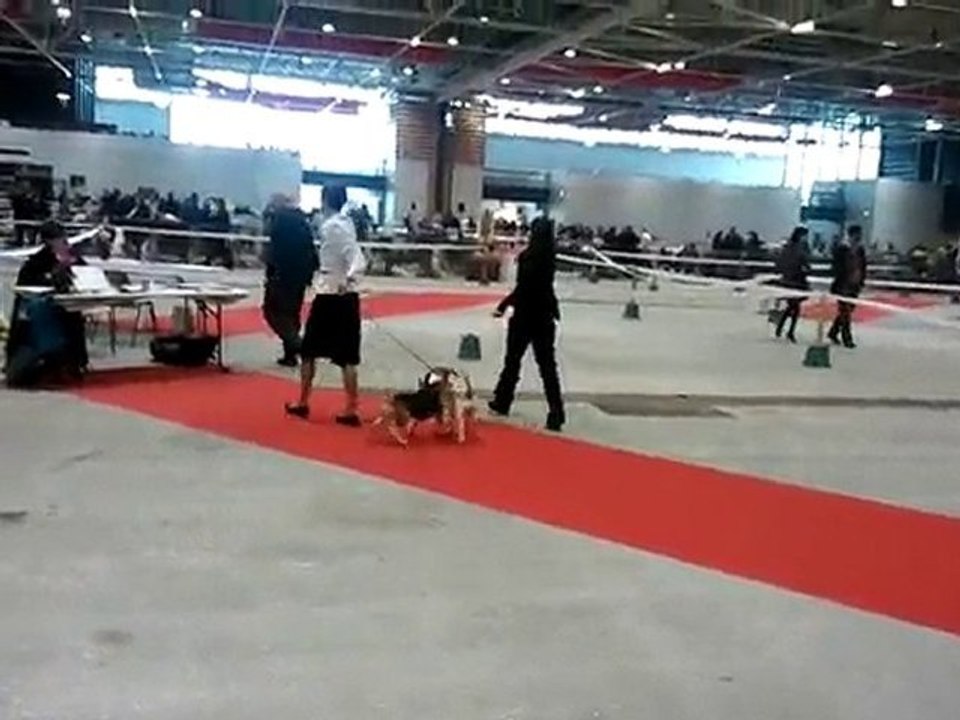 Expo Metz 06.11.10 (1)