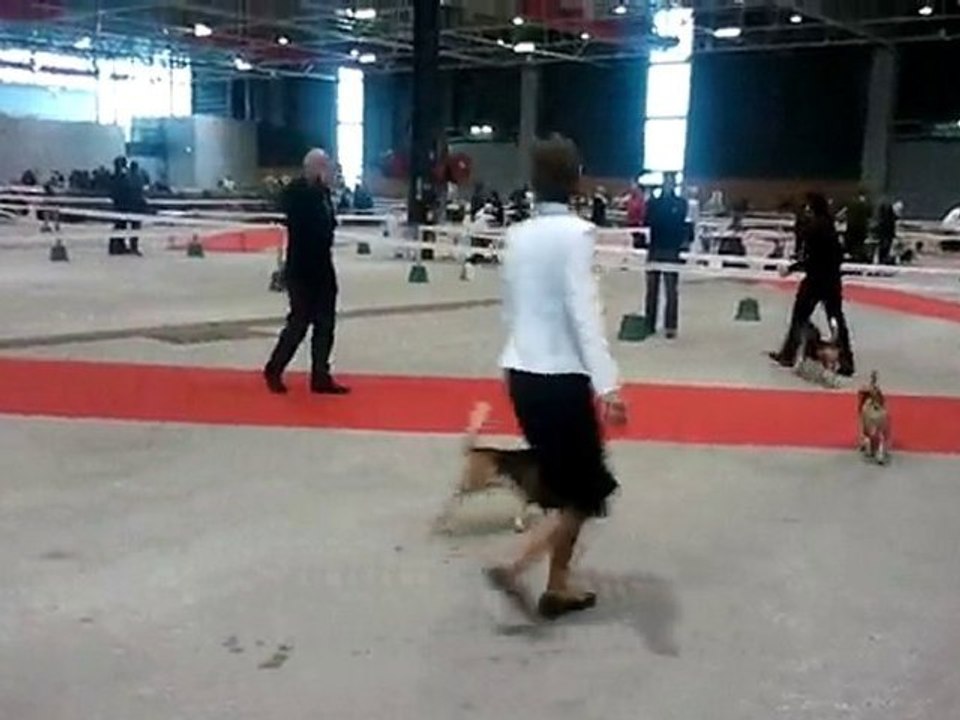 Expo Metz 06.11.10 (2)