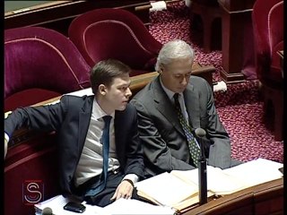 PJL réforme des retraites - Art. add. 29 sexies