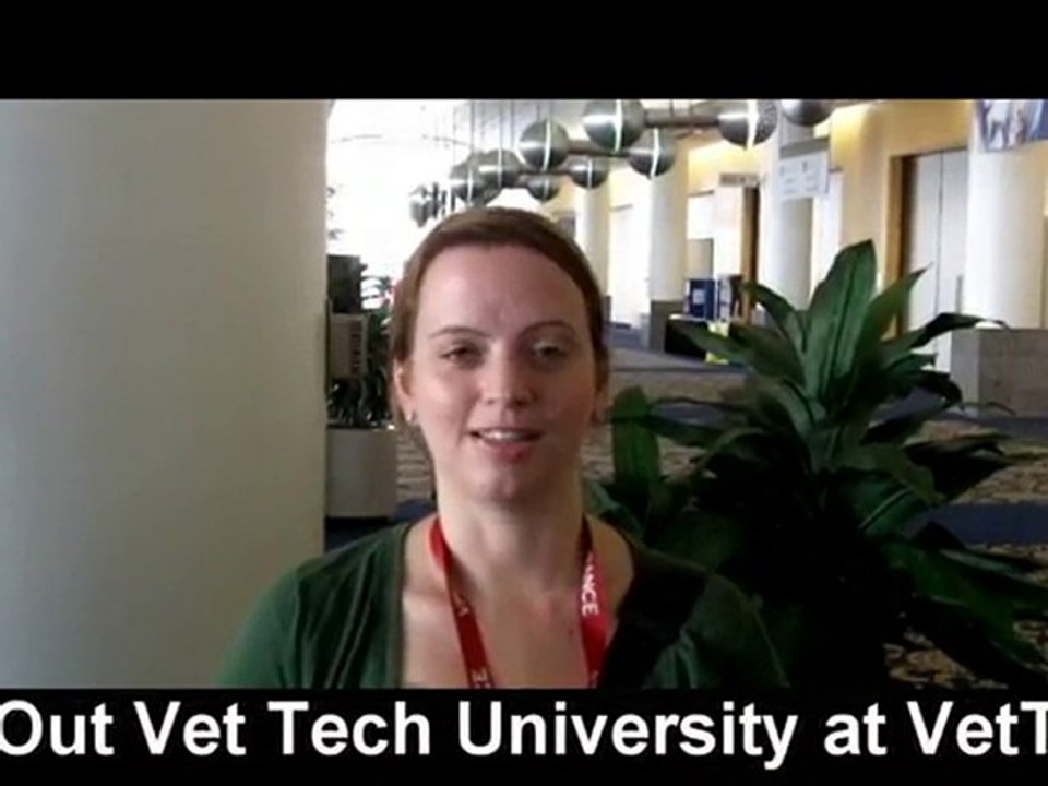 Online Vet Tech Schools | Online Veterinary Technician Prog