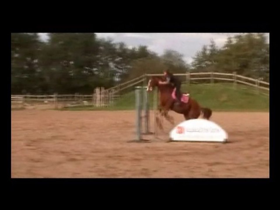 Qalif Octobre 2010 CSO