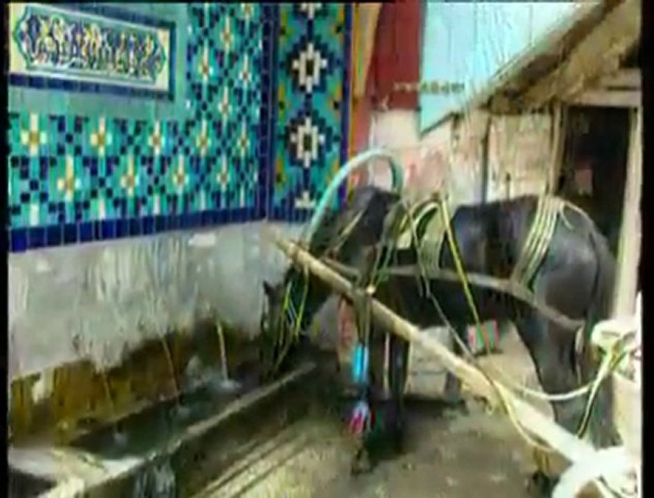 MUSTAFA YILDIZDOĞAN BİZİM MEMLEKET