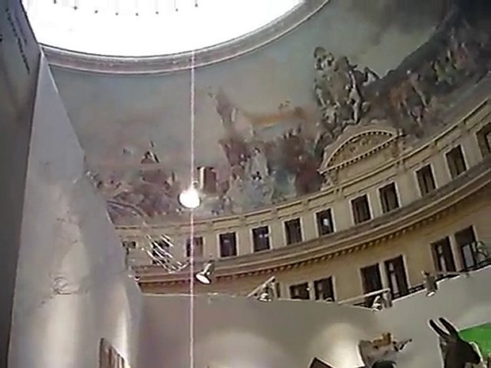 cut'log: dome