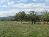 Vente terrain - ALBA LA ROMAINE (07400) - 0m² - 87 000€