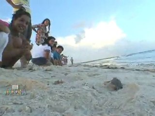 Liberacion de crias 640x360