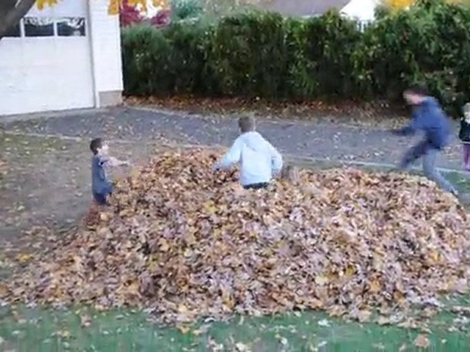 Youpi les feuilles !