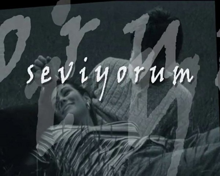 soner arıca - seviyorum