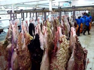 Arabie saoudite: préparatifs pour la fête de l'Aïd