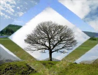 Selam imam Hatiplim Mehmet Emin Ay